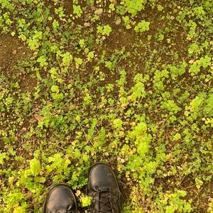 Meet your Posher, Abby